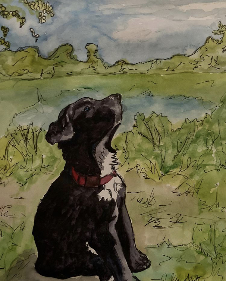 1b39d37e-1b3d-43c5-994c-133364531642